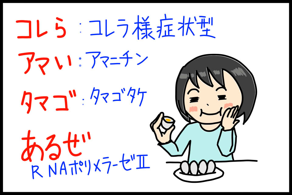 衛生学におけるコレラ様症状型キノコ毒のゴロイラスト